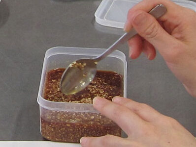 発酵食入門講座 『塩麴・しょうゆ麹』